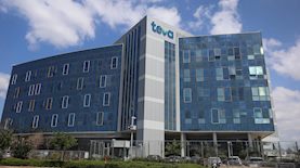 טבע, צילום: סיון פרג